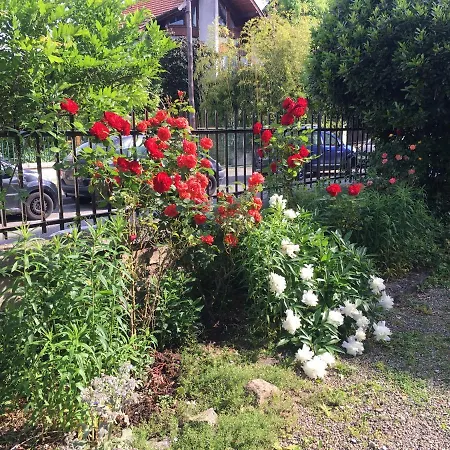 Le Catalpa - Centre Ville, Jardin & Parking! דירה *
