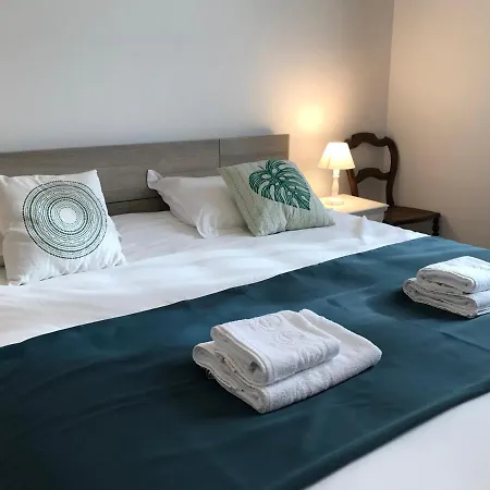 דירה Le Catalpa - Centre Ville, Jardin & Parking!
