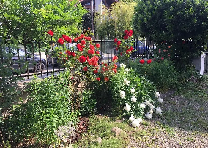 Le Catalpa - Centre Ville, Jardin & Parking! דירה *